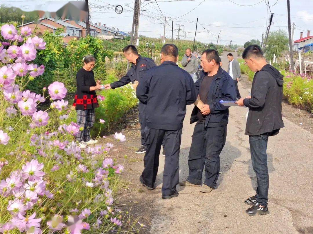 绥棱贴吧最新消息，城市动态与生活洞察速递